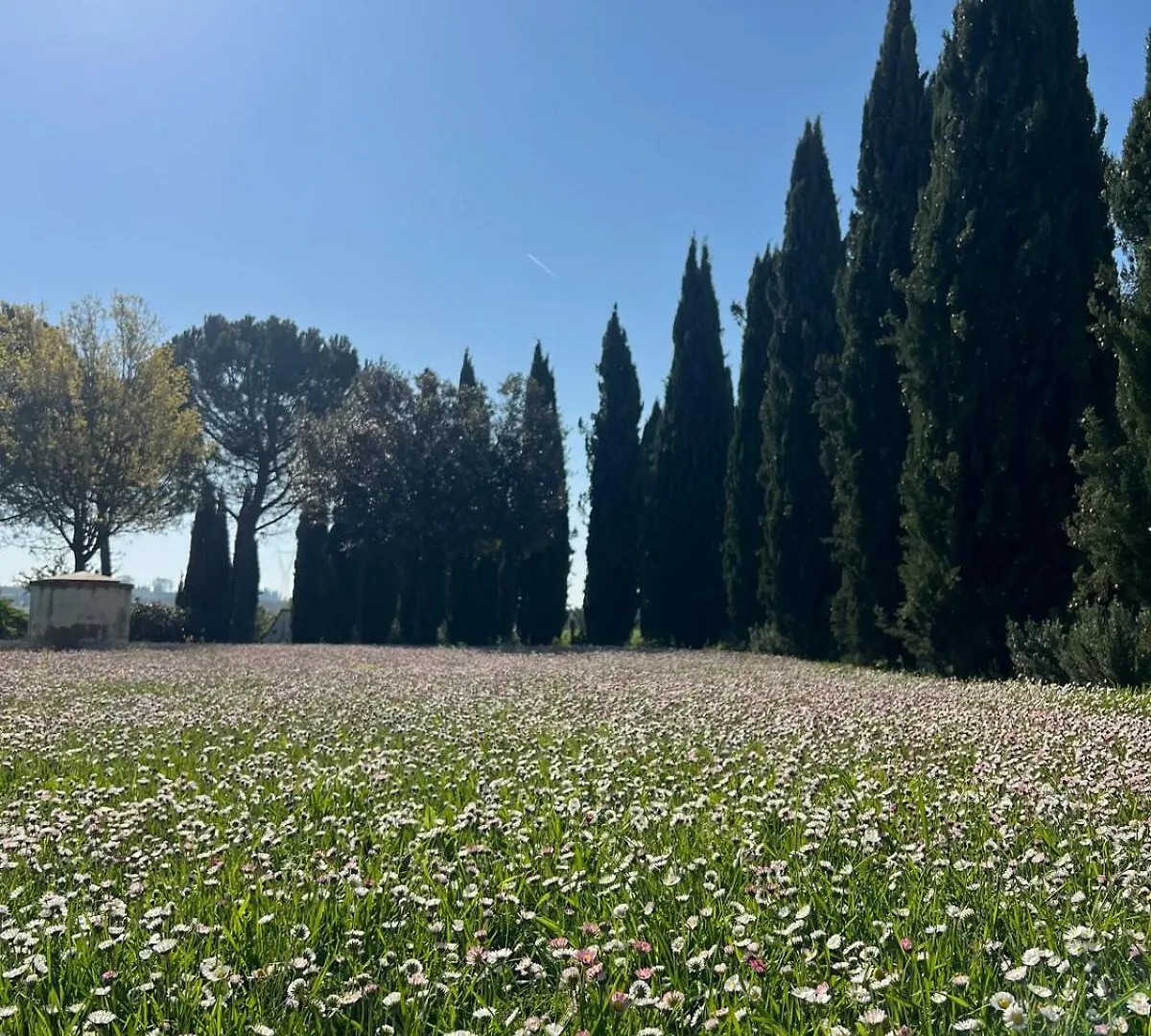 Villa Bellora Cortona