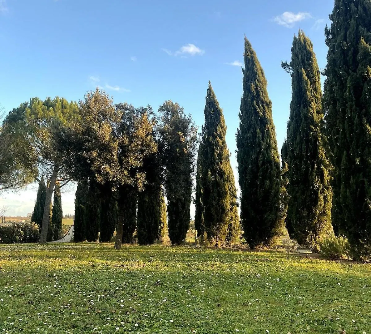 Villa Bellora Cortona 0*,